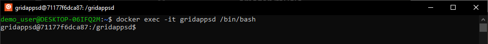 docker-exec